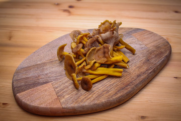 Tubular mushrooms chanterelles lying on a wooden board