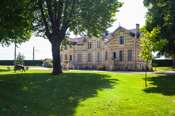 Chateau MAUCAILLOU in Bordeaux region of France.