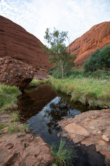 Freshwater creek in the Red Desert 2, Northern Territory Australia