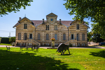 Chateau MAUCAILLOU in Bordeaux region of France.