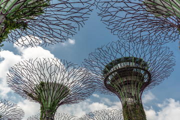 Singapore - March 22, 2019: Gardens by the Bay, Supertree Grove. Landscape, Tops of purple and green supertrees isolated against blue sky with white cloudscape.