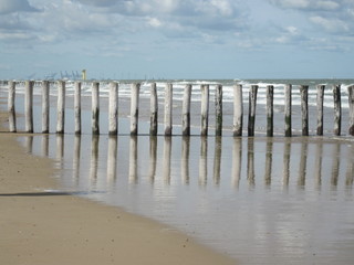 fence on the beach