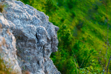 Rock in the shape of a male head in profile. The mica sheets and quartz silicate minerals. Bare geological rock rock among the vegetation on the ledges.