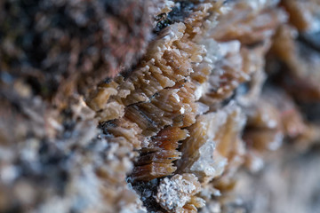 The mica sheets and quartz silicate minerals. Bare geological rock rock among the vegetation on the ledges. Macro lens shot.