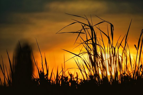 Deep sunlight