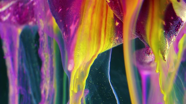 Abracadabra rose flower with yellow petals and maroon stripes.