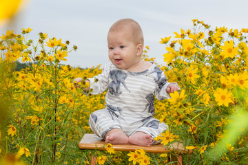 baby in sunflowers