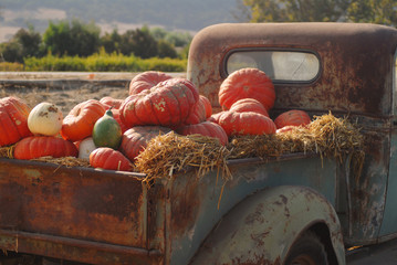 Old rusty truck full of fall pumpkins