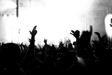 crowd of people at concert black and white