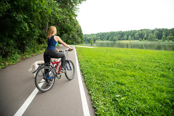Obraz premium Girl on a bike with a dog on a walk