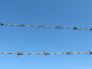 Barbed wire fence
