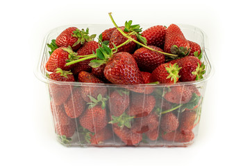 Strawberries in a plastic container isolated on white background