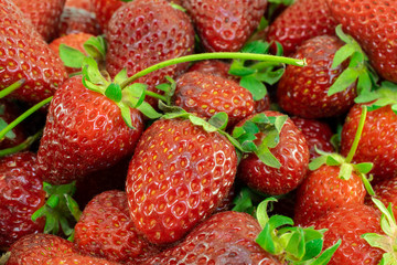 Fresh strawberries close-up, full frame food background