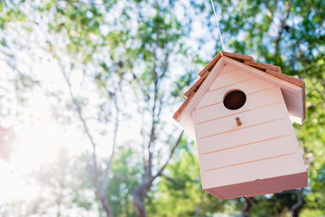 A wooden birdhouse with a background of unfocused trees and sun rays.