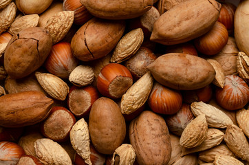 shelled hazelnut almonds pecan nuts in bowl as a background