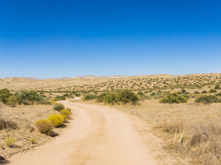 Dirt Road Leads Onward in California