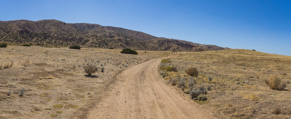 Dirt Road into the Wilderness Hills