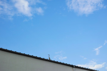 Obraz premium 一羽のアオサギがとまっている倉庫の屋根と白い雲のある青空