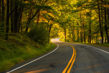 Obraz premium Seven lakes drive road passing through autumn trees featuring beautiful fall colors 