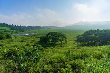 霧ヶ峰　夏の八島ヶ原湿原　長野県