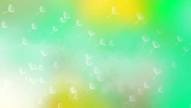 Flying dandelion seeds on green abstract background looped animation