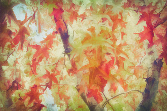 Autumnal