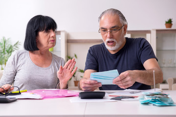 Fototapeta premium Senior couple discussing financial plans