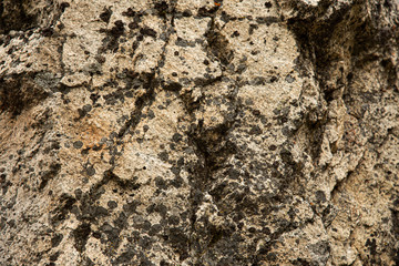 Background texture rock formations.