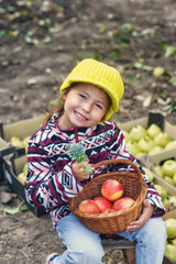 Portrait of a little girl with apples in the garden . Autumn harvest fruit