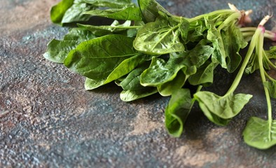 a bunch of vegetable spinach. succulent leaves and stems of spinach grown organically. dark background. copy space
