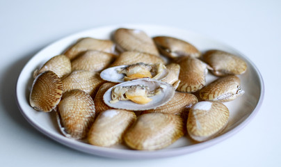 Oyster on plate with white background.