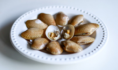Oyster on plate with white background.