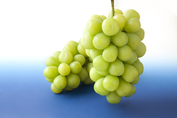 シャインマスカット