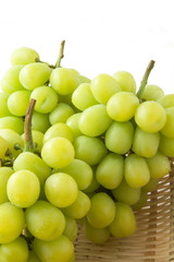 シャインマスカット