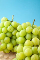 シャインマスカット