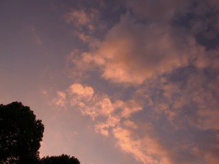 Fototapeta premium 夕焼け