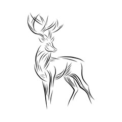 Drawing abstract deer for element design