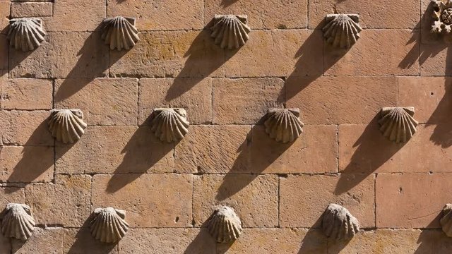 Casa de las Conchas, Salamanca city, Salamanca province, Castilla y Leon, Spain, Europe