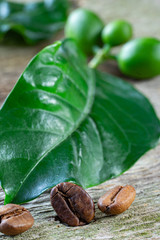 Leaves, berries and beans of coffee on wooden background. Macro. Vertical