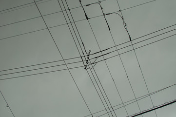 Looking up electric wires on a gloomy day