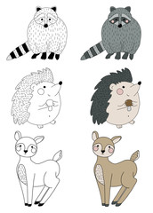 A set of hand drawn outline and colored forest animals: racoon, deer, hedgehog