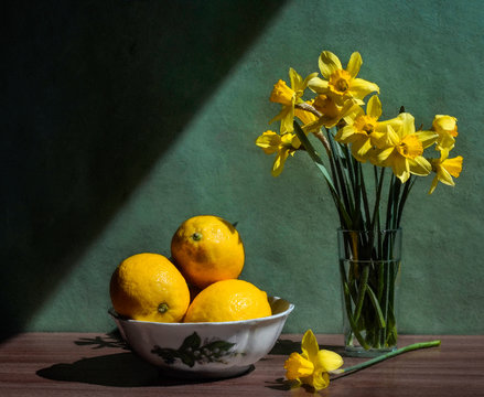 still life with lemons and daffodils
