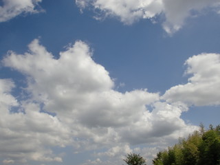 雲