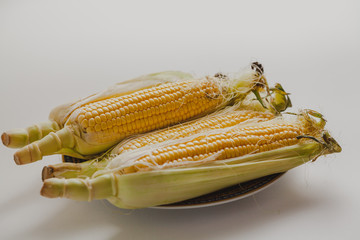 Cobs of ripe corn lie on  plate