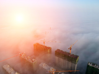 The fog in the city