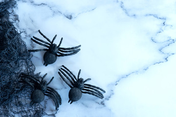 spider web and black spiders Halloween background concept.