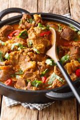 Homemade slowly cooked Lamb rogan josh close-up in a pan. vertical