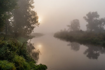 Obraz na płótnie Canvas Jesienne mgły nad Narwią, Podlasie, Polska