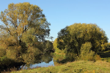 Two picturesque trees on little river shores on blue clear sky background in country Park, European nature environment