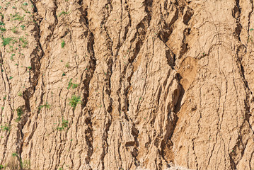 Detail Of Dry Ground On The Desert - Texture / Pattern
